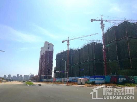 大华上海滩花园49#50#51#工程进展