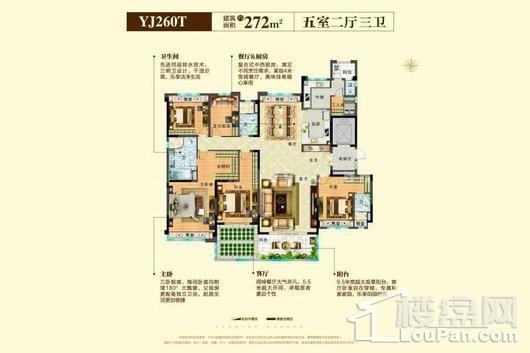 碧桂园.十里江湾YJ260T 5室2厅3卫1厨