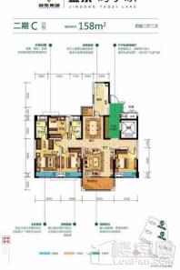 金东陶子湖二期C户型 4室2厅2卫1厨