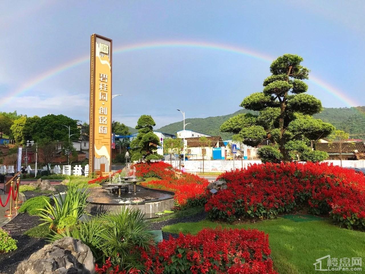 仁化碧桂园精致的生活 宽敞空间低密住区
