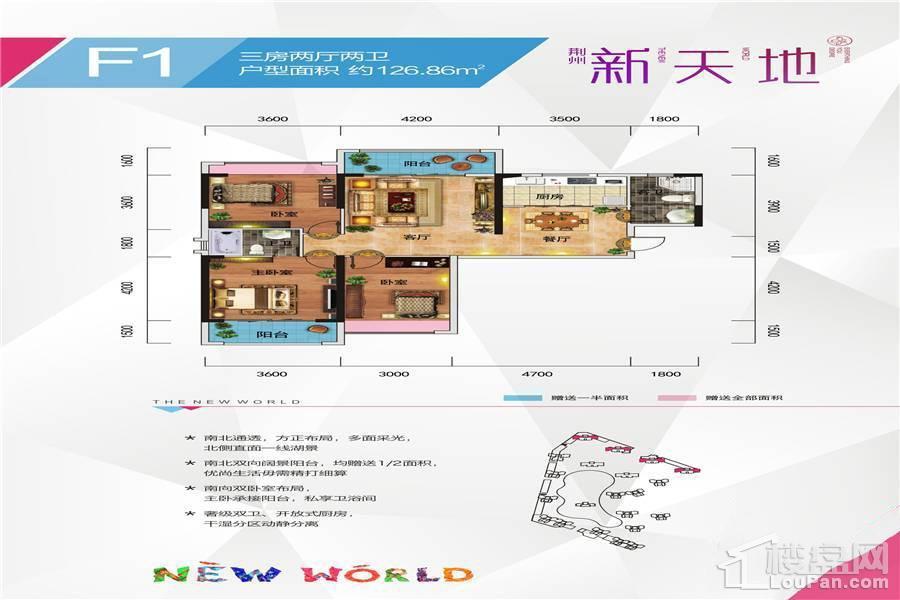 F1户型 户型图