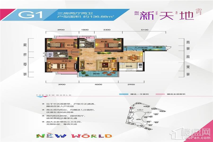 G1户型 户型图