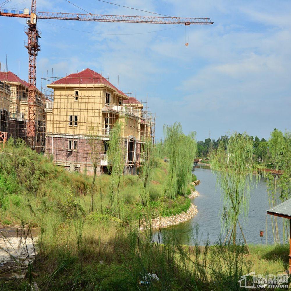泸州新恒基翡翠城别墅图片