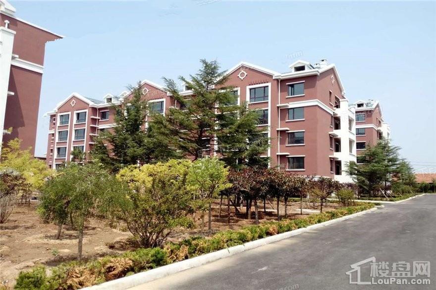 青岛金府花园效果图_实景图_样板间-青岛楼盘网