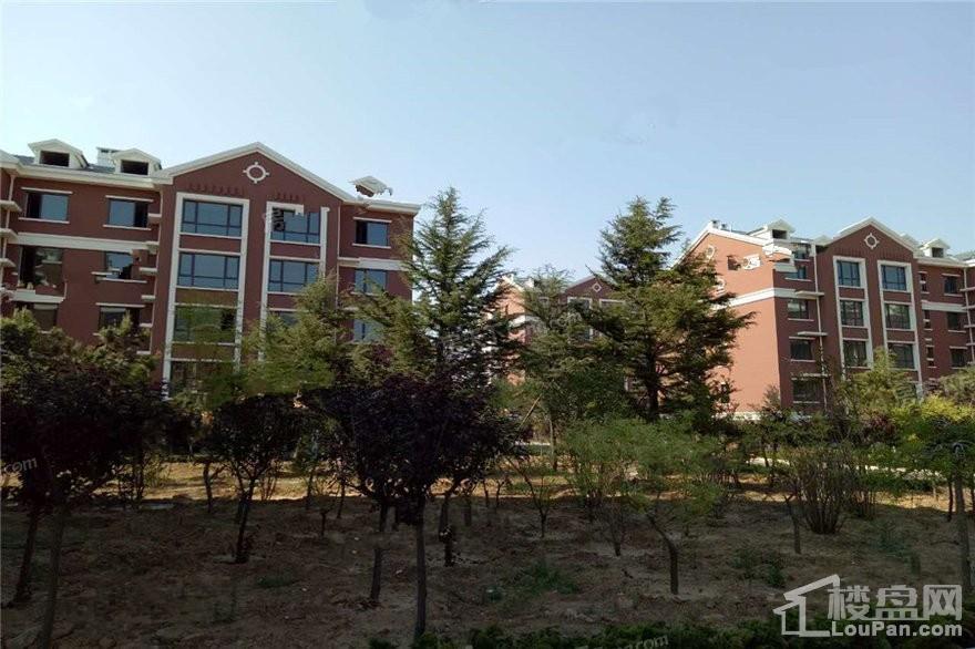 青岛金府花园效果图_实景图_样板间-青岛楼盘网