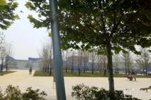 青岛国际游艇会展中心周边
