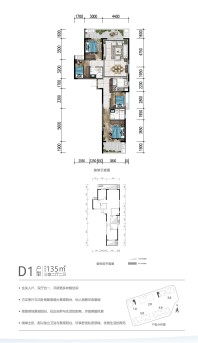 D1户型 3房 135平