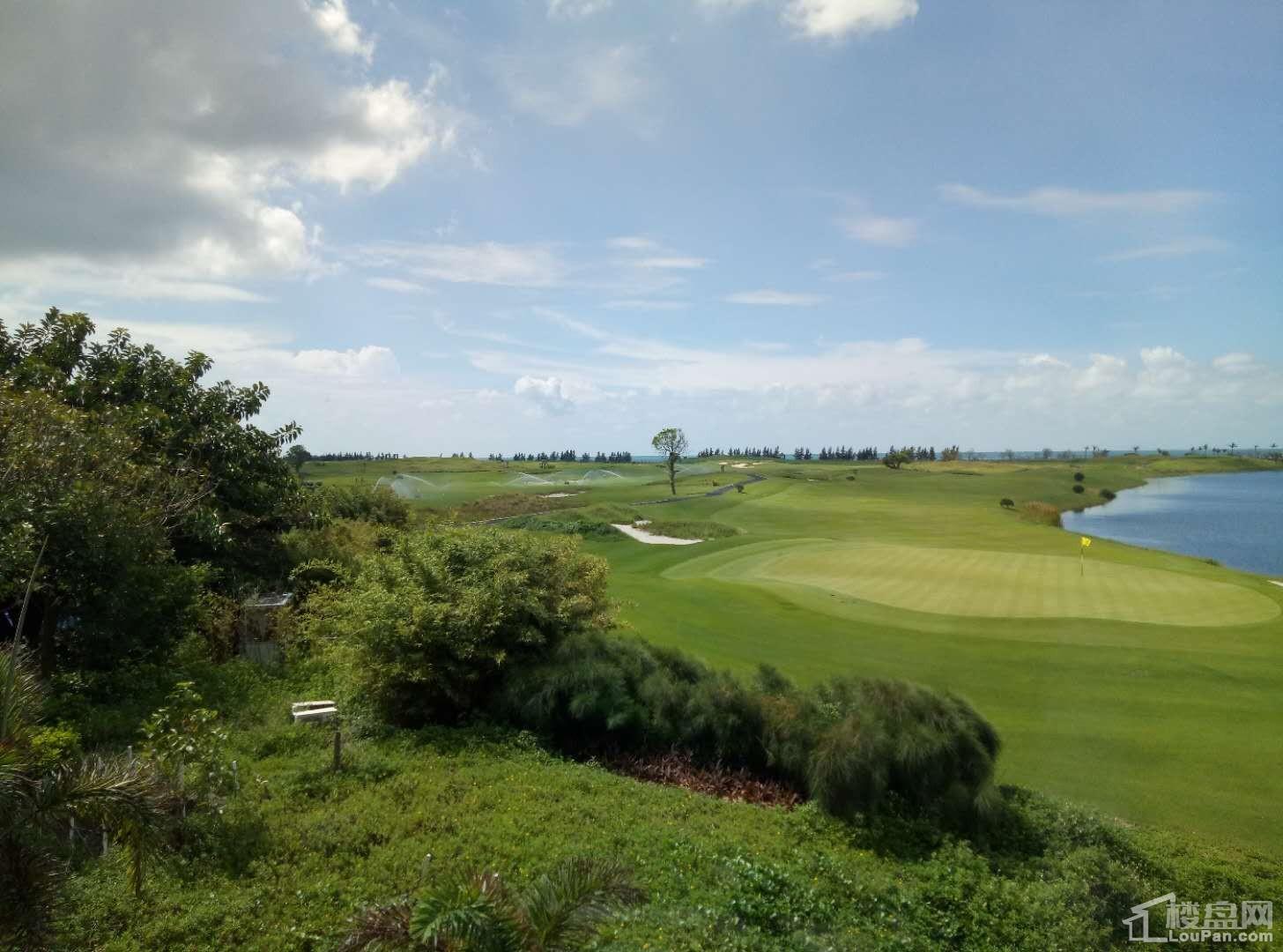 天隆三千海高尔夫球场实景图