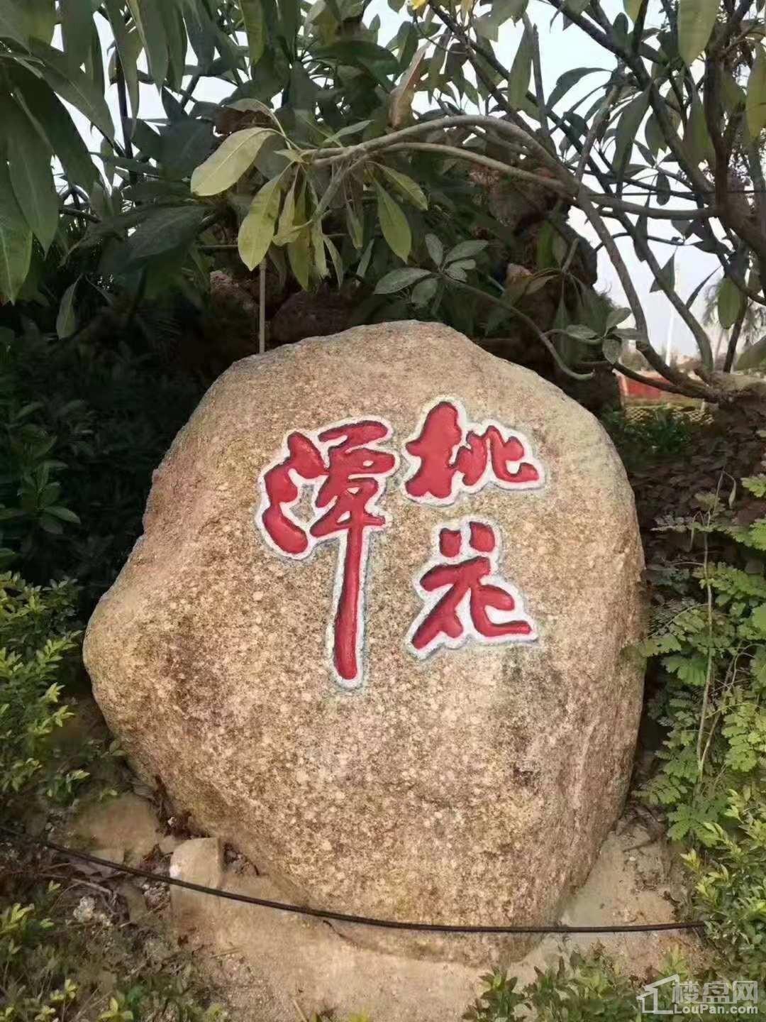 天隆三千海桃花岛实景图