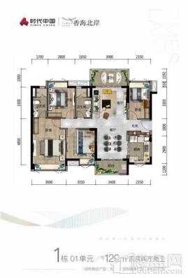 时代香海北岸1栋01户型