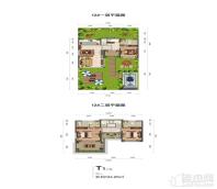 （联排别墅）12#T1户型 134.95㎡