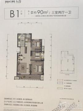 B1户型