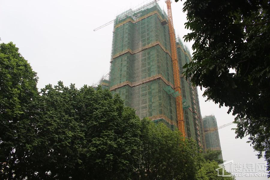 奥园园著楼栋建设进度（摄于2018-11-14 ）