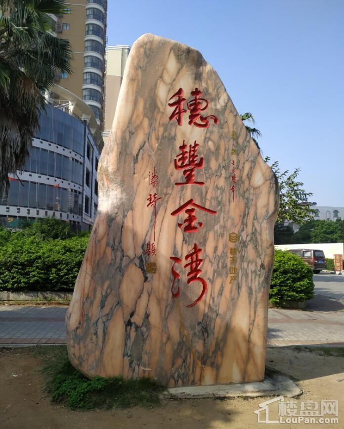 穗丰金湾小区实景图