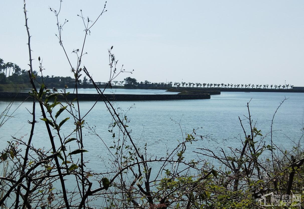 天隆三千海小区实景图