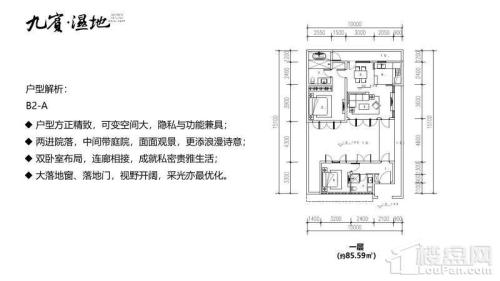 九滨湿地 拾院 户型图 B2A