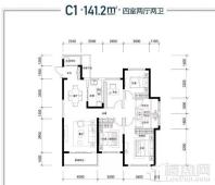 2#3#C1户型-141.2平