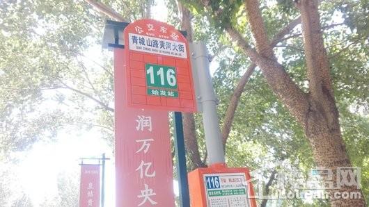 华润置地·翡翠城周边配套-116车站