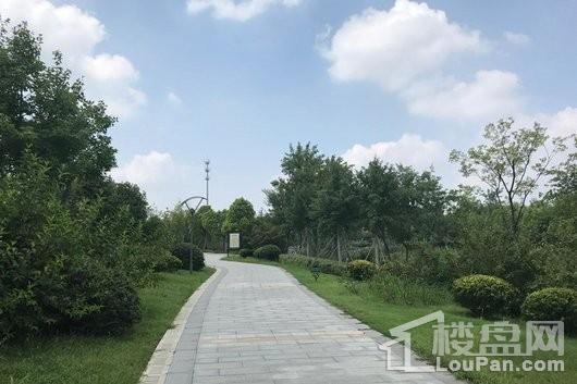 金水湾奎河公园实景图