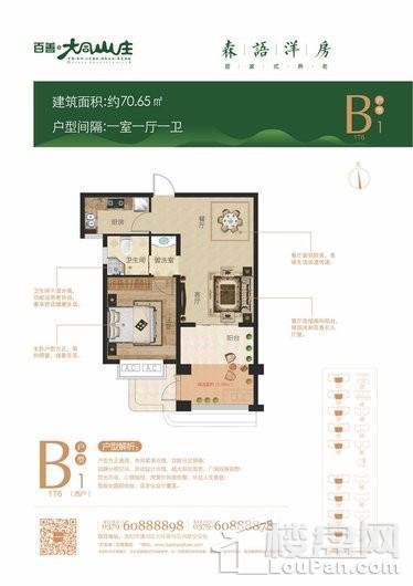 百善大同养老山庄B1户型 1室1厅1卫1厨