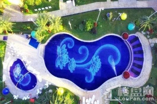 碧桂园·盛世名门泳池俯视