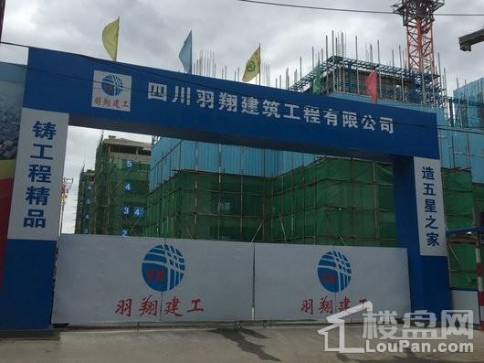 碧桂园珑悦建筑公司名称