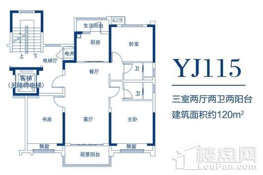 碧桂园生态城YJ115户型 3室2厅2卫1厨