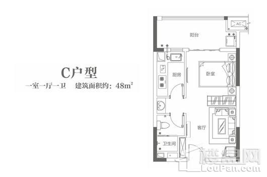 美景美地麟洲（二期）C户型 1室1厅1卫1厨