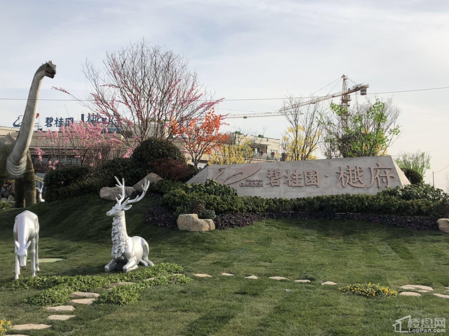 濮阳碧桂园樾府效果图_实景图_样板间-濮阳楼盘网