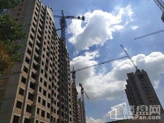 万龙国际城项目在建高层施工图