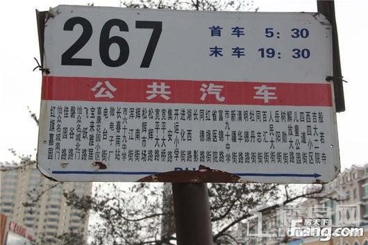 中国铁建花语城周边公交站牌