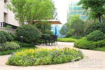 香栀花园小区景观