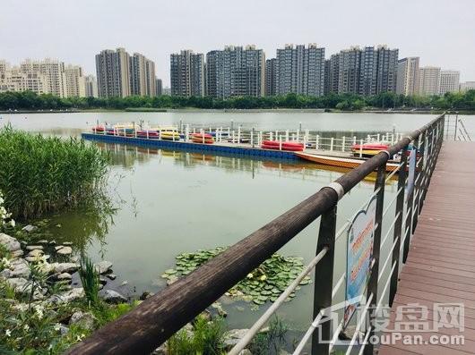 连飞虹湖天地银翔湖公园皮划艇