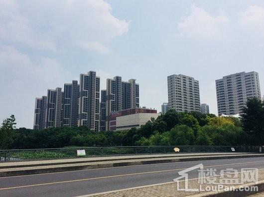 花园里楼栋外立面实景