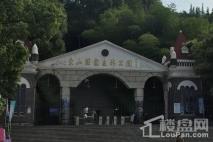 新城上坤樾山美墅周边配套-佘山森林公园