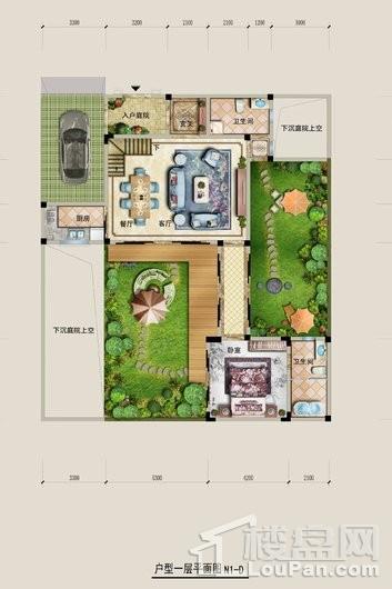 碧桂园十里江南别墅N1-D 91平户型 1室2厅2卫1厨