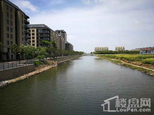 滴水湖馨苑悦湾小区沿河楼栋