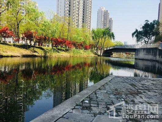 嘉宝梦之缘景庭小区外环境实景