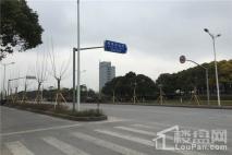 瑞和上海印象路标指示牌
