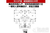 碧桂园十里外滩B113户型140平一层 3室4厅3卫1厨