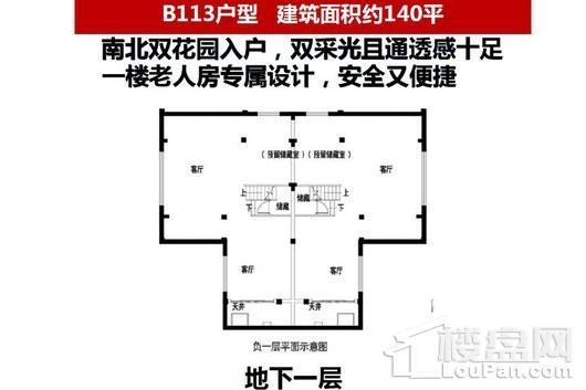 碧桂园十里外滩B113户型140平地下一层 3室4厅3卫1厨