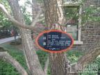 龙湖香醍漫步园区树木标识牌