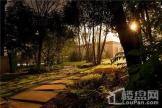 泰盈十里锦城售楼处草树植被景观