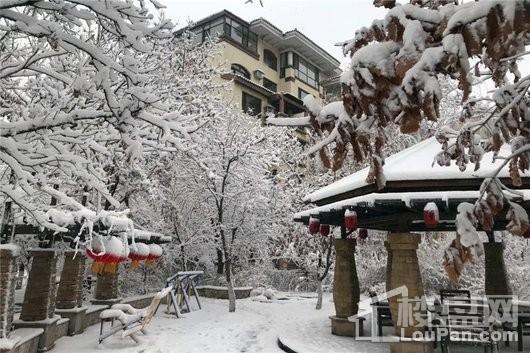 九洲御府园区雪后实景