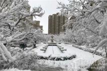 九洲御府园区雪后实景