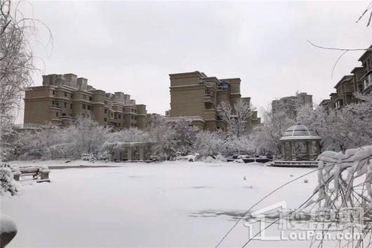 九洲御府园区雪后实景