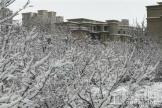 九洲御府园区雪后实景