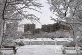 九洲御府园区雪后实景