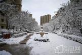 九洲御府园区雪后实景