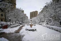 九洲御府园区雪后实景
